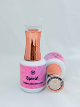 Load image into Gallery viewer, Spiral Chameleon Shell Gel