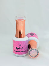 Load image into Gallery viewer, Spiral Chameleon Shell Gel