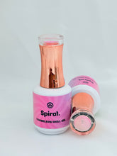 Load image into Gallery viewer, Spiral Chameleon Shell Gel