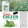 Spa Redi Callus No More Mint & Eucalyptus 128oz