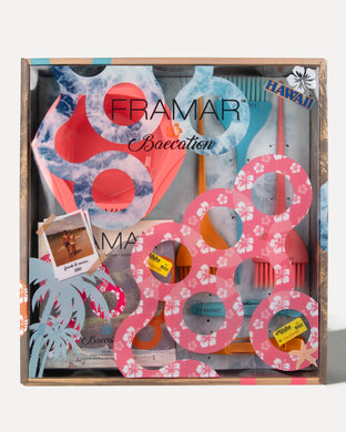 Framar Baecation Colorist Kit *PROMO*