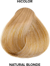 Load image into Gallery viewer, Loreal Hi Color Highlights