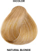 Loreal Hi Color Highlights