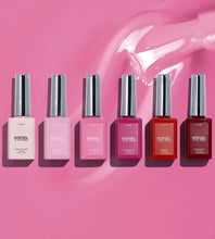 Cargar imagen en el visor de la galería, SOFGEL The Carol Set | Legacy Gel Color Set No. 02